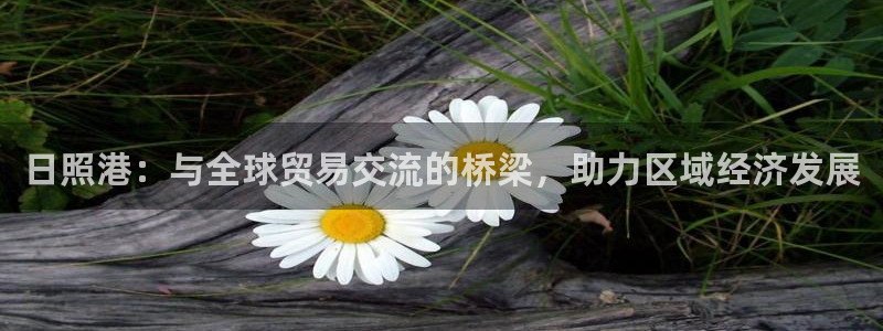 日照港：与全球贸易交流的桥梁，助力区域经济发展