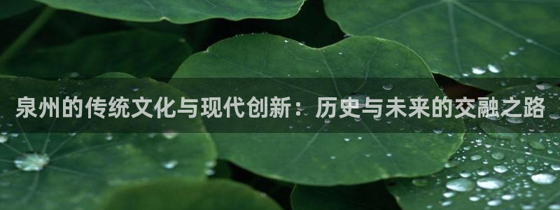 泉州的传统文化与现代创新：历史与未来的交融之路