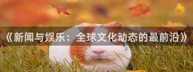 《新闻与娱乐：全球文化动态的最前沿》