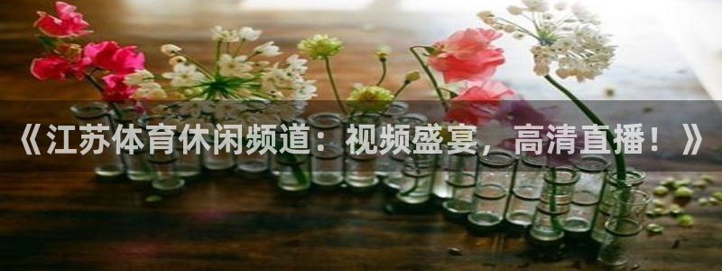 《江苏体育休闲频道：视频盛宴，高清直播！》