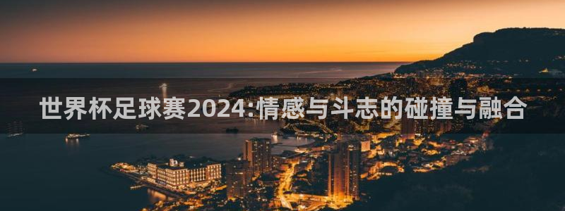 世界杯足球赛2024:情感与斗志的碰撞与融合