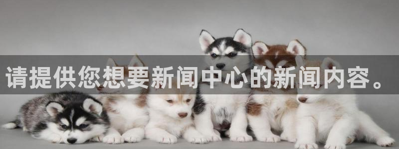请提供您想要新闻中心的新闻内容。