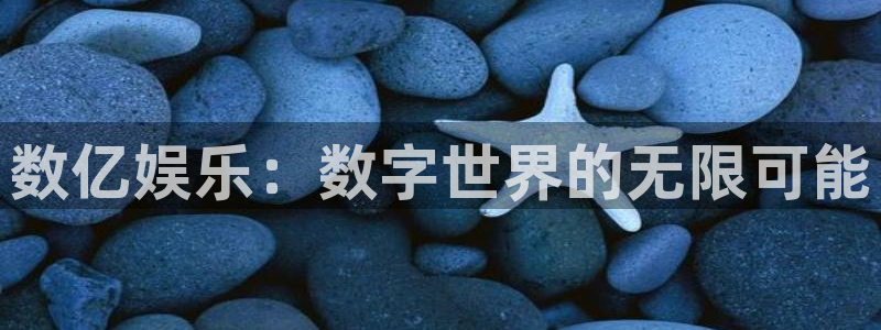 数亿娱乐：数字世界的无限可能