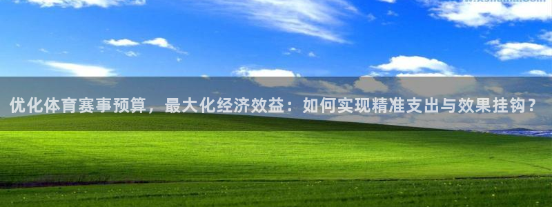 优化体育赛事预算，最大化经济效益：如何实现精准支出与效果挂钩？