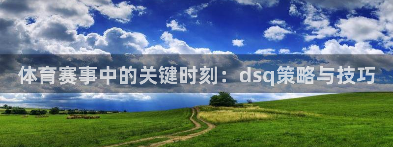 体育赛事中的关键时刻：dsq策略与技巧