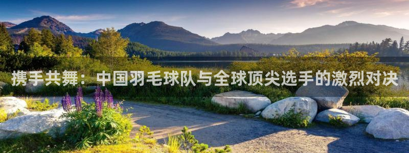 携手共舞：中国羽毛球队与全球顶尖选手的激烈对决