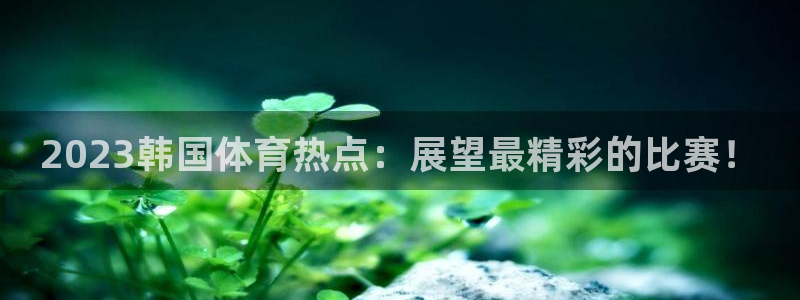 2023韩国体育热点：展望最精彩的比赛！