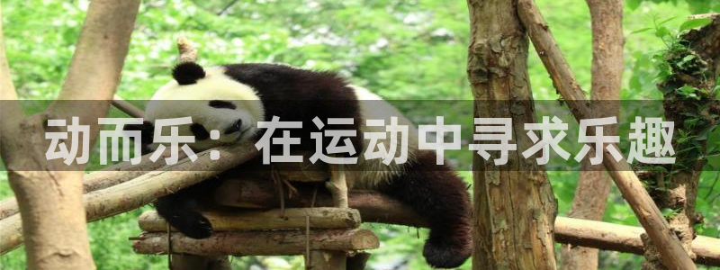 动而乐：在运动中寻求乐趣