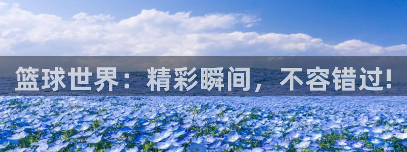 篮球世界：精彩瞬间，不容错过!