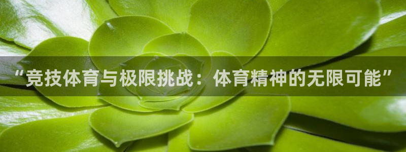 “竞技体育与极限挑战：体育精神的无限可能”