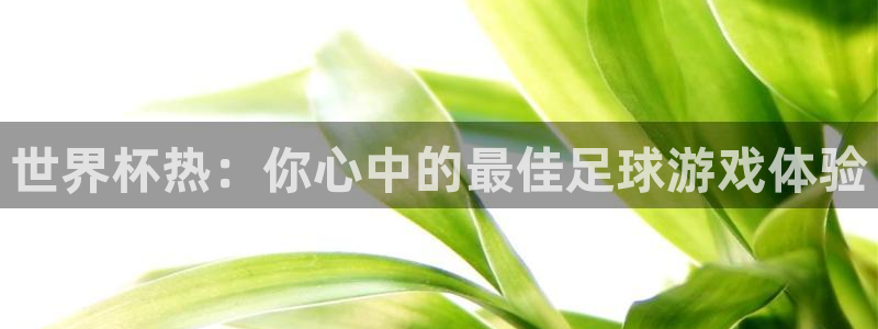 世界杯热：你心中的最佳足球游戏体验
