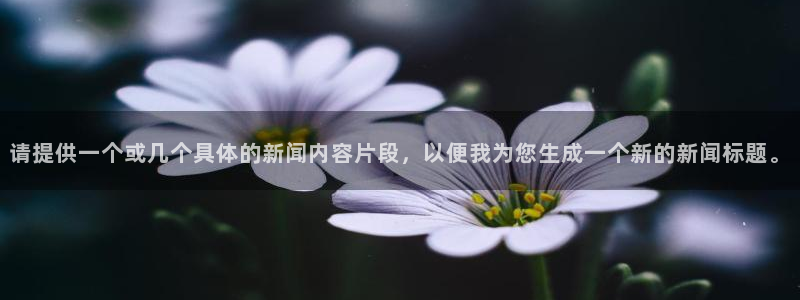 请提供一个或几个具体的新闻内容片段，以便我为您生成一个新的新闻标题。