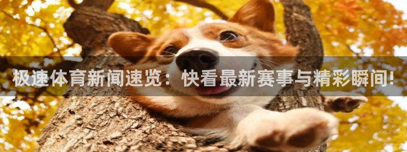 极速体育新闻速览：快看最新赛事与精彩瞬间!
