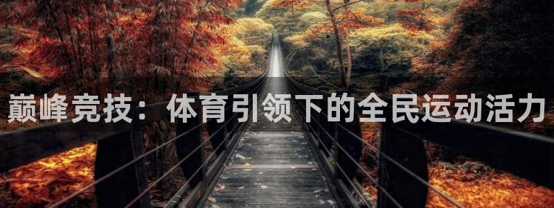 巅峰竞技：体育引领下的全民运动活力