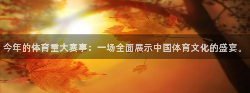 今年的体育重大赛事：一场全面展示中国体育文化的盛宴。