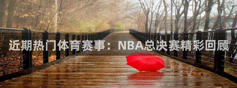 近期热门体育赛事：NBA总决赛精彩回顾