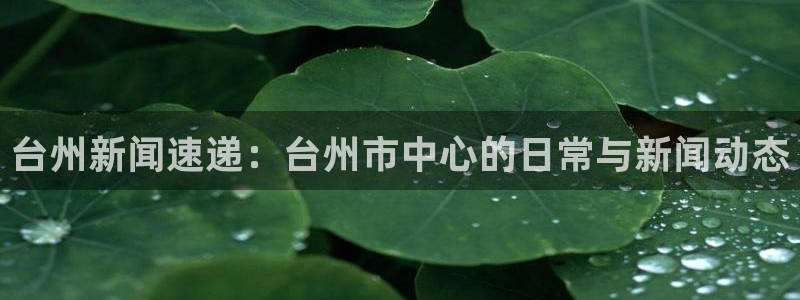 台州新闻速递：台州市中心的日常与新闻动态