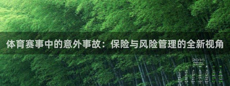 体育赛事中的意外事故：保险与风险管理的全新视角