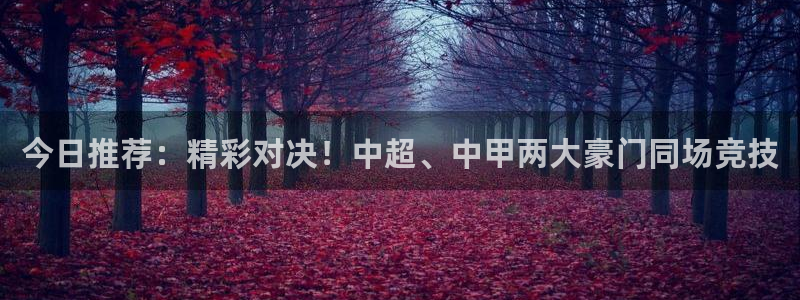 今日推荐：精彩对决！中超、中甲两大豪门同场竞技